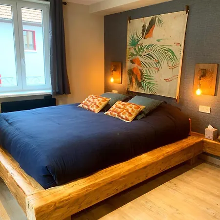 De Charme A La Campagne, Proche De Strasbourg Apartament Fessenheim-le-Bas