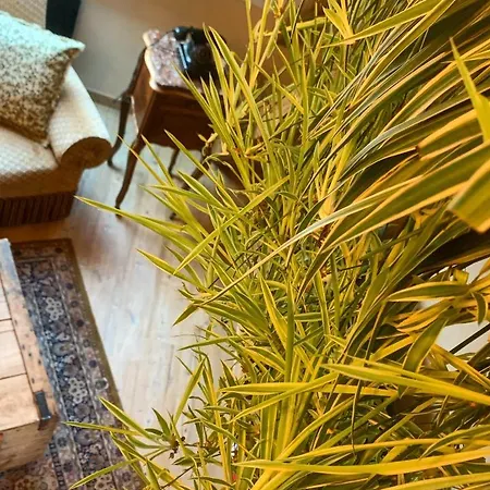 De Charme A La Campagne, Proche De Strasbourg Apartament *