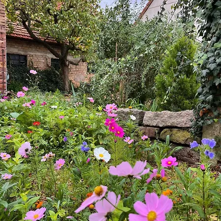 De Charme A La Campagne, Proche De Strasbourg * Fessenheim-le-Bas