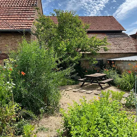 Lejlighed De Charme A La Campagne, Proche De Strasbourg *